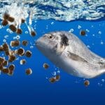 1000x563 cmsv2 62f4e254 5265 55e6 8fc3 c66e646b4472 7702810