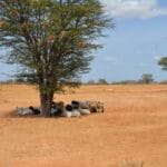 4b8ffc24 a726 4266 a58c 2e8e45cac368