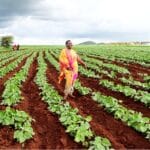 Farmer Betty Bondo in her field