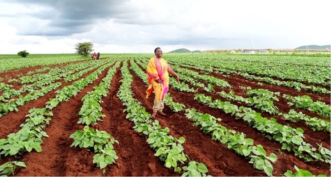Farmer Betty Bondo in her field