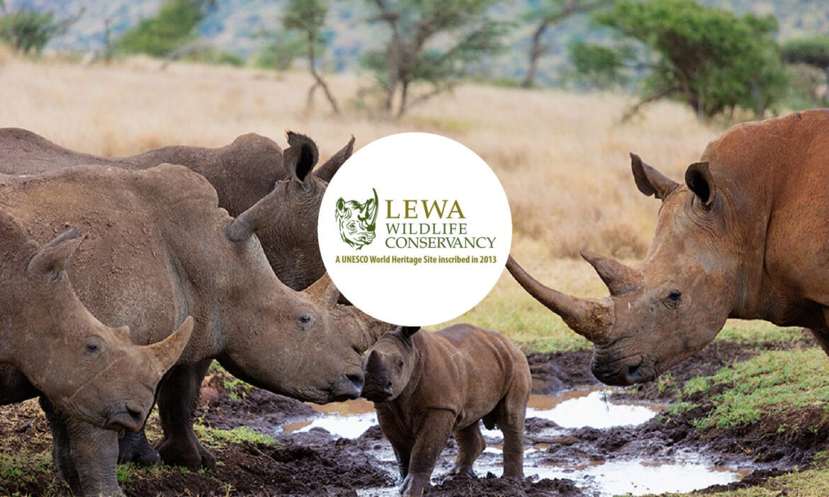 Lewa wildlife