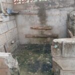 IMG 20241120 WA0046 e1732120834511