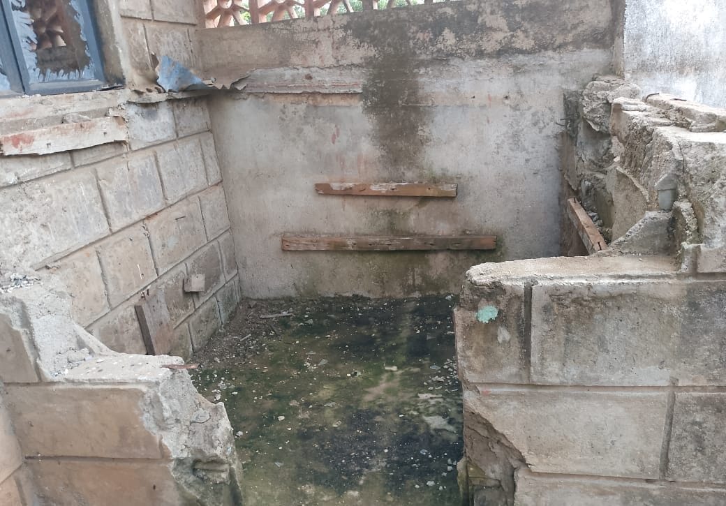 IMG 20241120 WA0046 e1732120834511