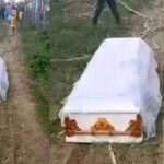 Coffin That Moved